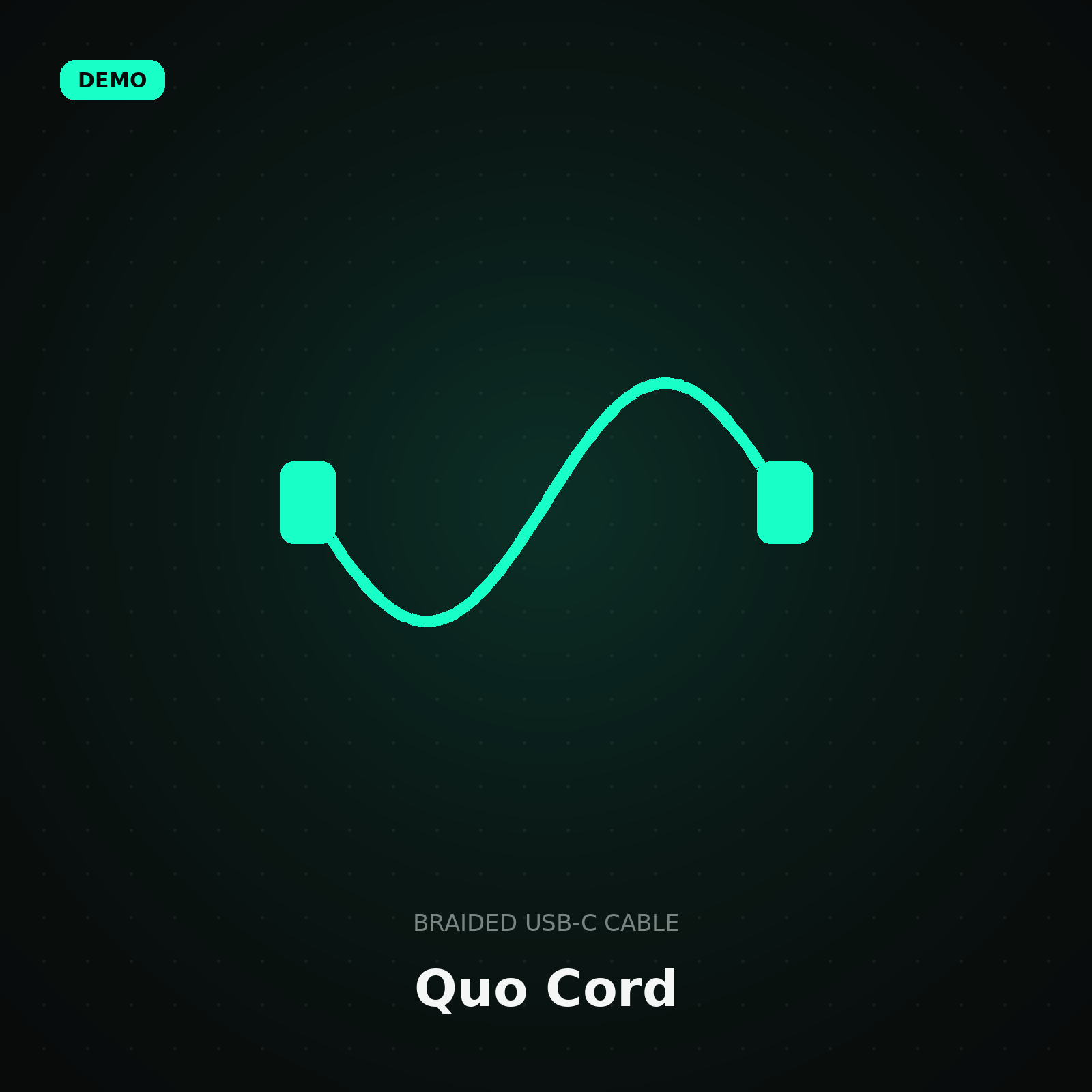 Quo Cord Braided USB-C — demo illustration 1 of 2