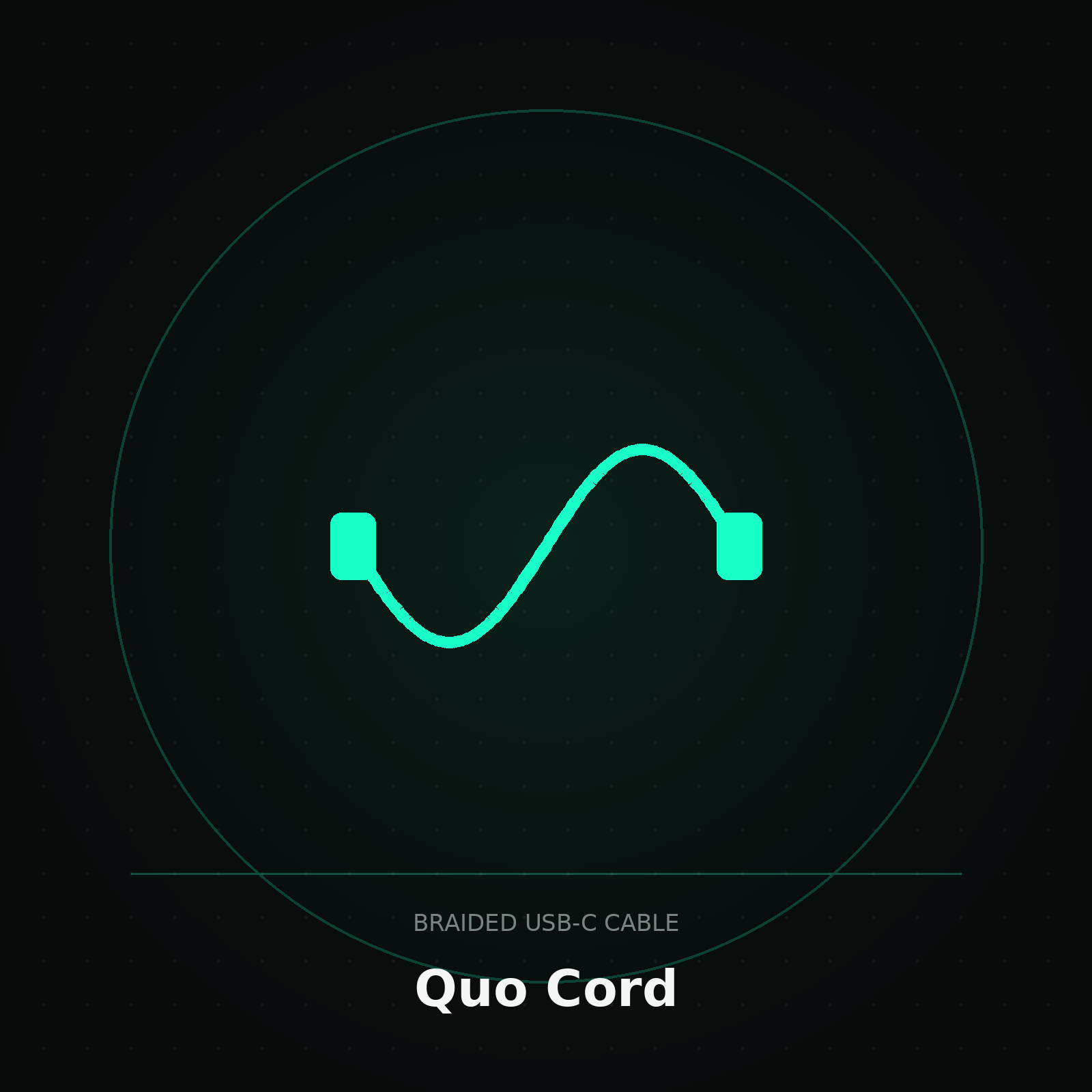 Quo Cord Braided USB-C — demo illustration 2 of 2